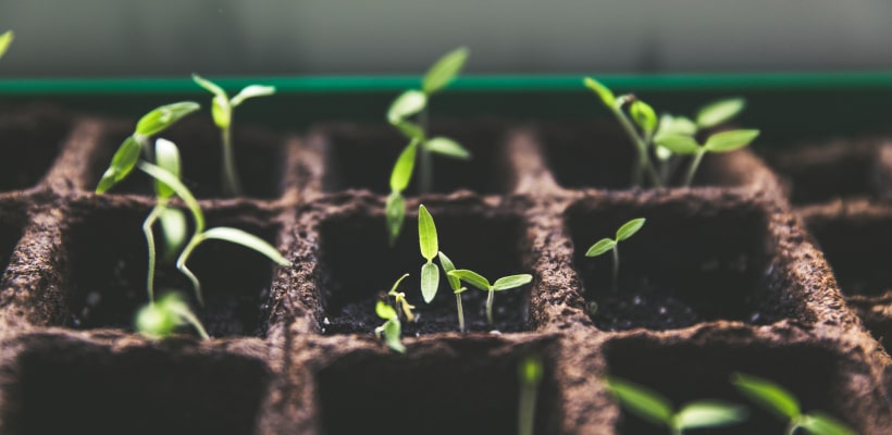 Crypto Lending-ABC: Anfänger-Anleitung auf deutsch | Tutorial